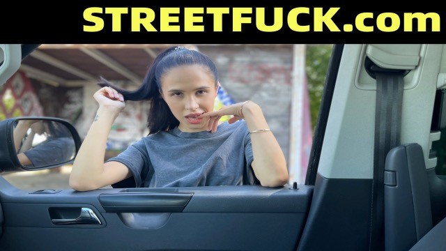 Stylish kitten's reality dirt