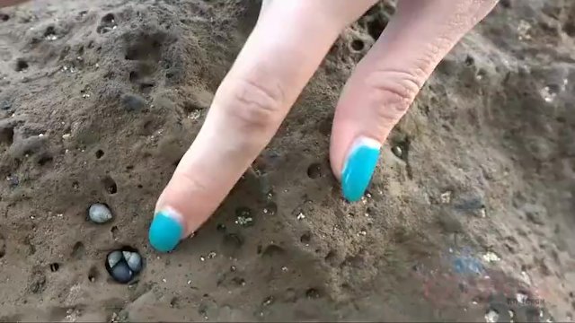 Beautiful Cece Capella's brunette clip