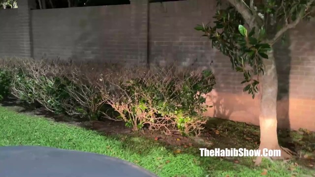 The Habib Show - tight pussy smut