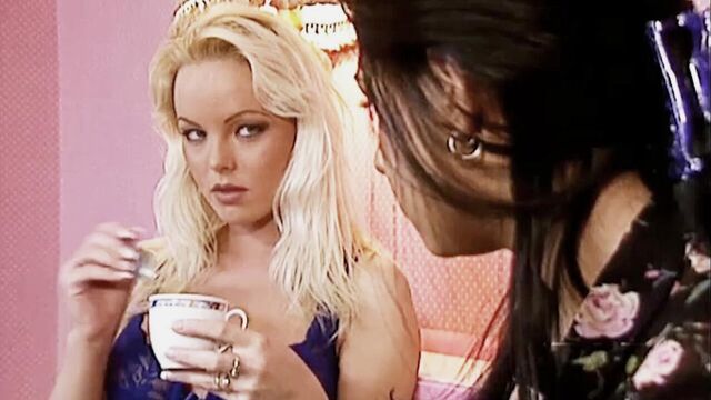 Busty ladies Silvia Saint and Amanda love masturbation