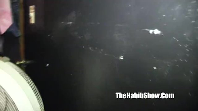 The Habib Show featuring lovebird's thehabibshow clip