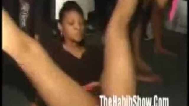 Watch beautiful bird's movie