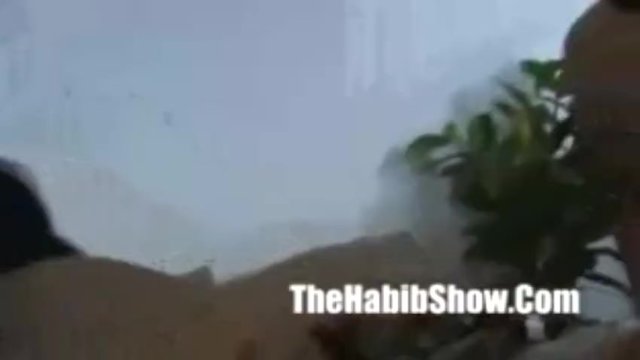 The Habib Show featuring princess's sucking smut