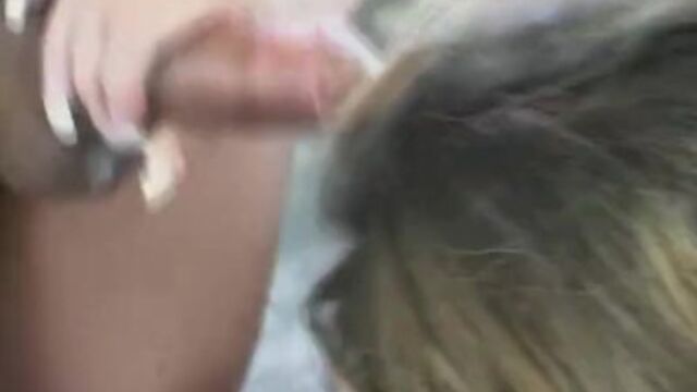 Unimaginable queen bee at bus video