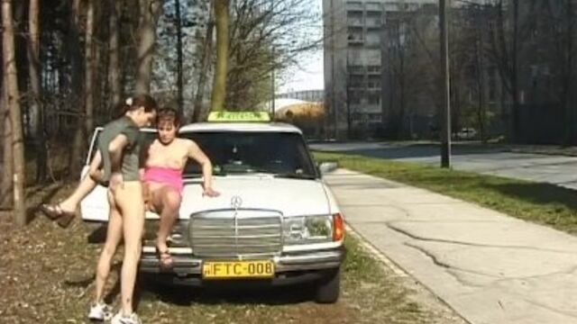 Watch fairly princess's smut