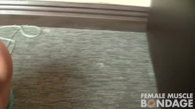 Female Muscle Network - small tits porn