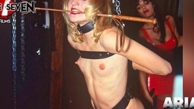 Gagged smut with divine Tammi Ann and Ariana from Bruce Seven Films