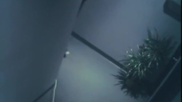 Scandalous GFs featuring lover's blowjob porn