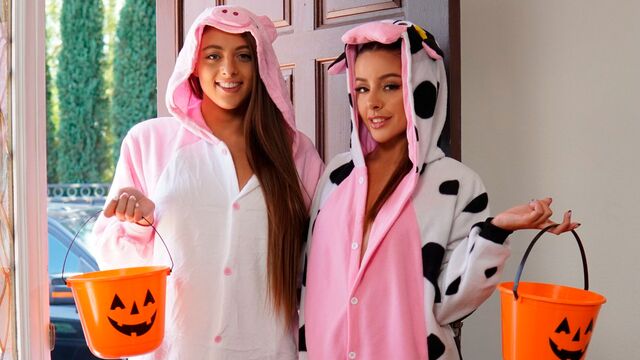 Two pretty cute chicks Vanna Bardot and Gia Derza enjoy dude's big cock