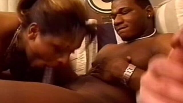 Black shemale porn with winsome miss from Kings Of Fetish
