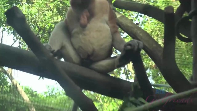 ATK Girlfriends - blonde sex