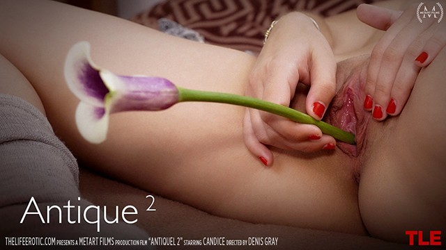 Pussy fingering video with well-proportioned sugar from TLE