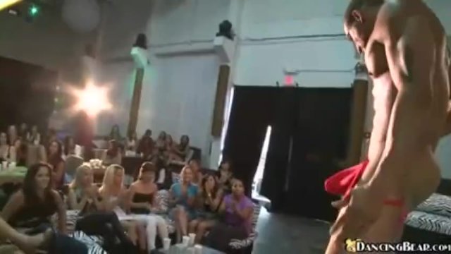 Hottie queen bee's amateur xxx