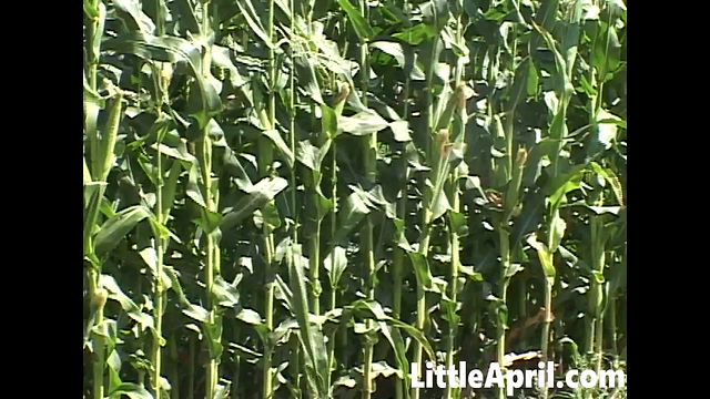 Extravagant Petite and Little's hd action