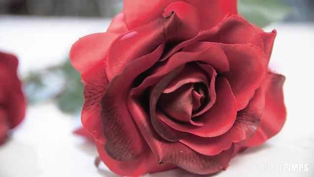 Vina Sky is lying on the bed and sucking her shaved pussy