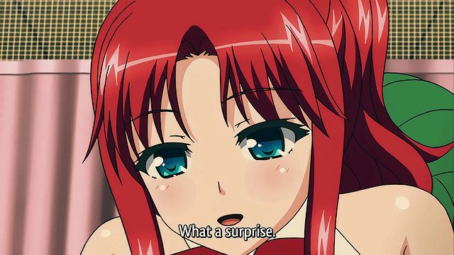 Footjob sex with graceful dona from Hentai Universe