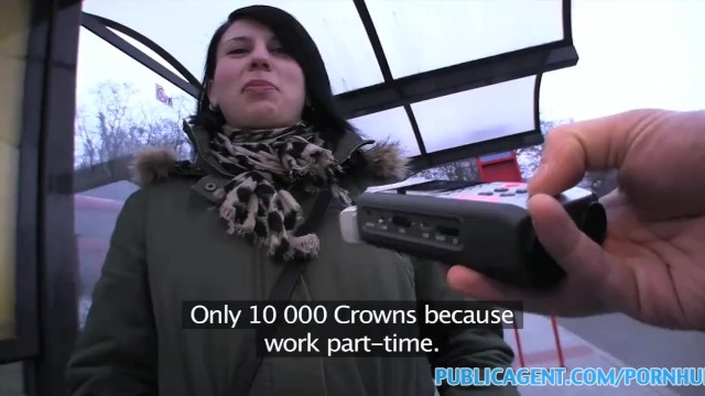 Public Agent - publicagent action